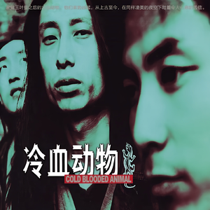 黄瓜网站app在线观看下载10
